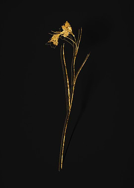 Gold Flower on Black