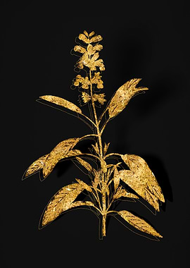 Gold Flower on Black