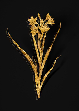 Gold Botanical on Black