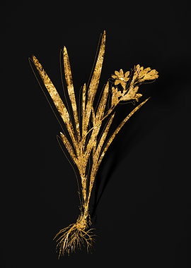 Gold Flower on Black