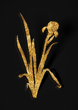 Gold Botanical on Black