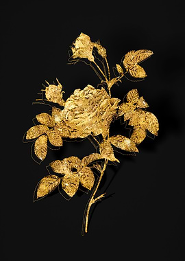 Gold Flora on Black