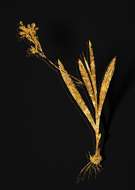 Gold Floral on Black