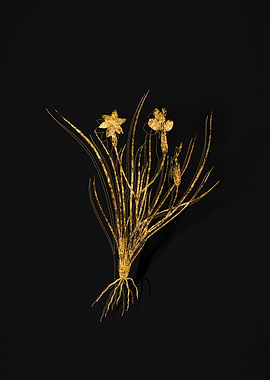 Gold Flower on Black