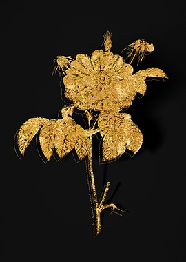 Gold Flower on Black