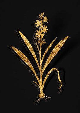 Gold Flower on Black