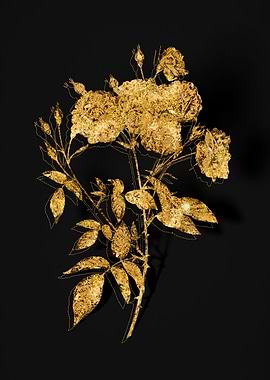 Gold Botanical on Black
