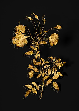 Gold Flower on Black