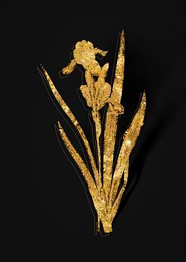 Gold Botanical on Black