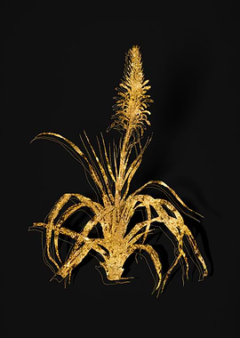 Gold Botanical on Black