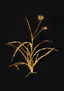 Gold Flower on Black