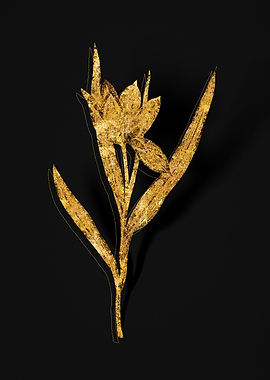 Gold Botanical on Black