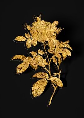 Gold Flower on Black