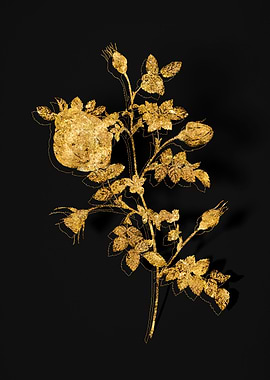 Gold Flower on Black