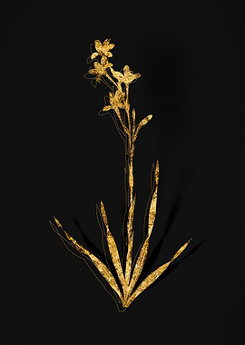 Gold Flower on Black