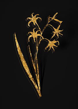 Gold Floral on Black