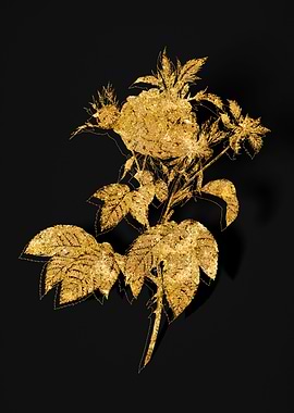Gold Botanical on Black
