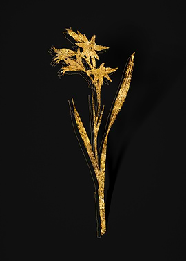 Gold Floral on Black