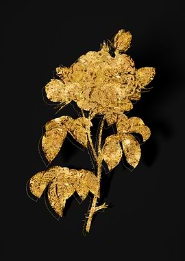 Gold Botanical on Black