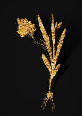 Gold Flower on Black