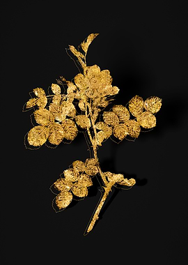 Gold Flora on Black