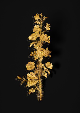 Gold Flower on Black