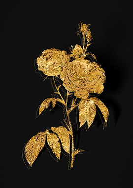 Gold Flower on Black