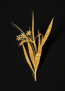 Gold Flower on Black