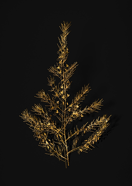 Gold Flower on Black