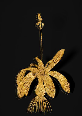 Gold Flower on Black