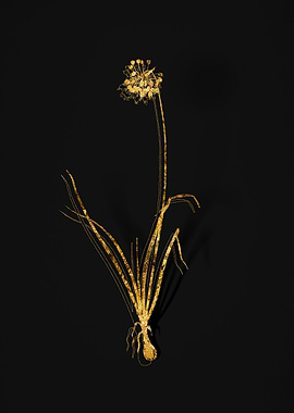 Gold Botanical on Black