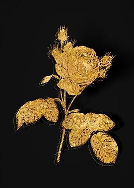 Gold Botanical on Black