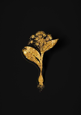 Gold Flora on Black