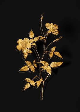 Gold Flower on Black
