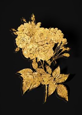 Gold Botanical on Black