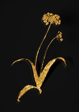 Gold Flower on Black