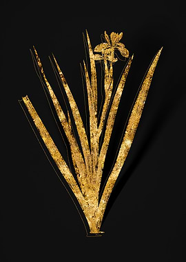 Gold Botanical on Black