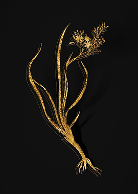 Gold Botanical on Black