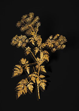 Gold Flower on Black