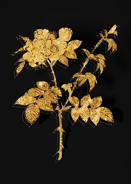 Gold Flower on Black