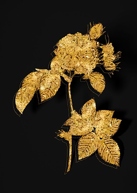 Gold Flora on Black