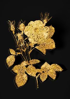 Gold Flower on Black