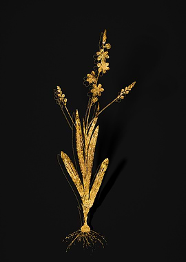 Gold Flora on Black