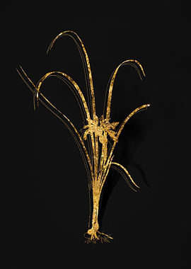 Gold Flower on Black