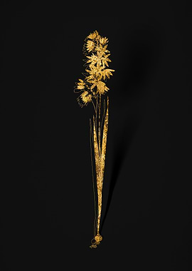 Gold Botanical on Black