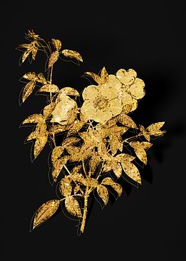 Gold Flower on Black