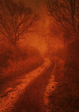 Walking Between Fields