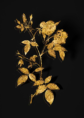 Gold Botanical on Black