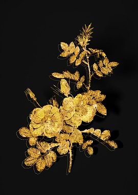 Gold Flower on Black