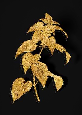 Gold Flower on Black